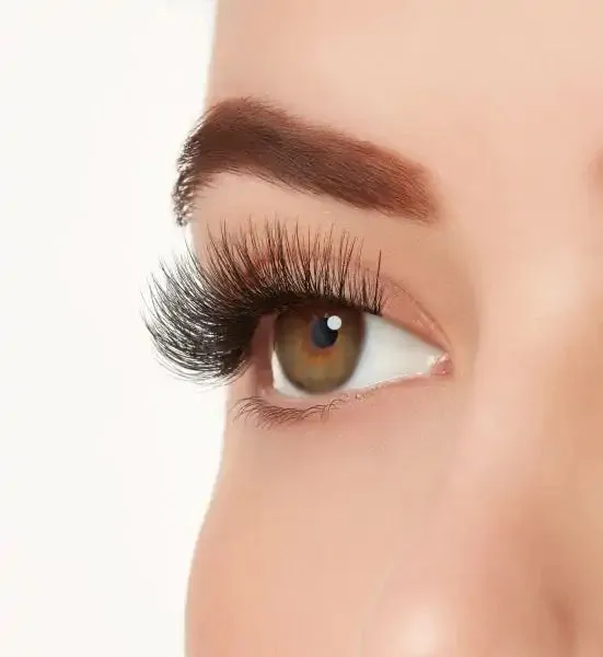 ARDELL Mega Volume Never Flat Curling Technology 262 رموش صناعية من ارديل