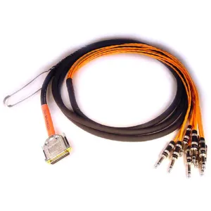 Avid DB25 to 8 x 1/4" 4' TRS Snake Cable