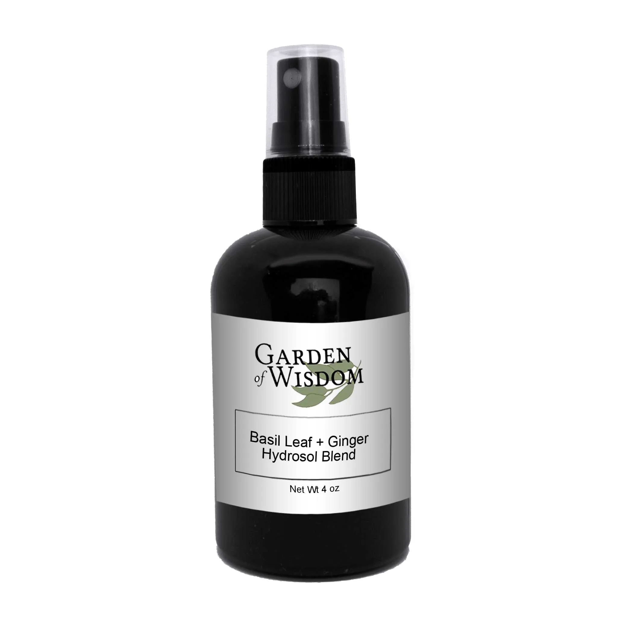 Basil Leaf   Ginger Hydrosol Blend