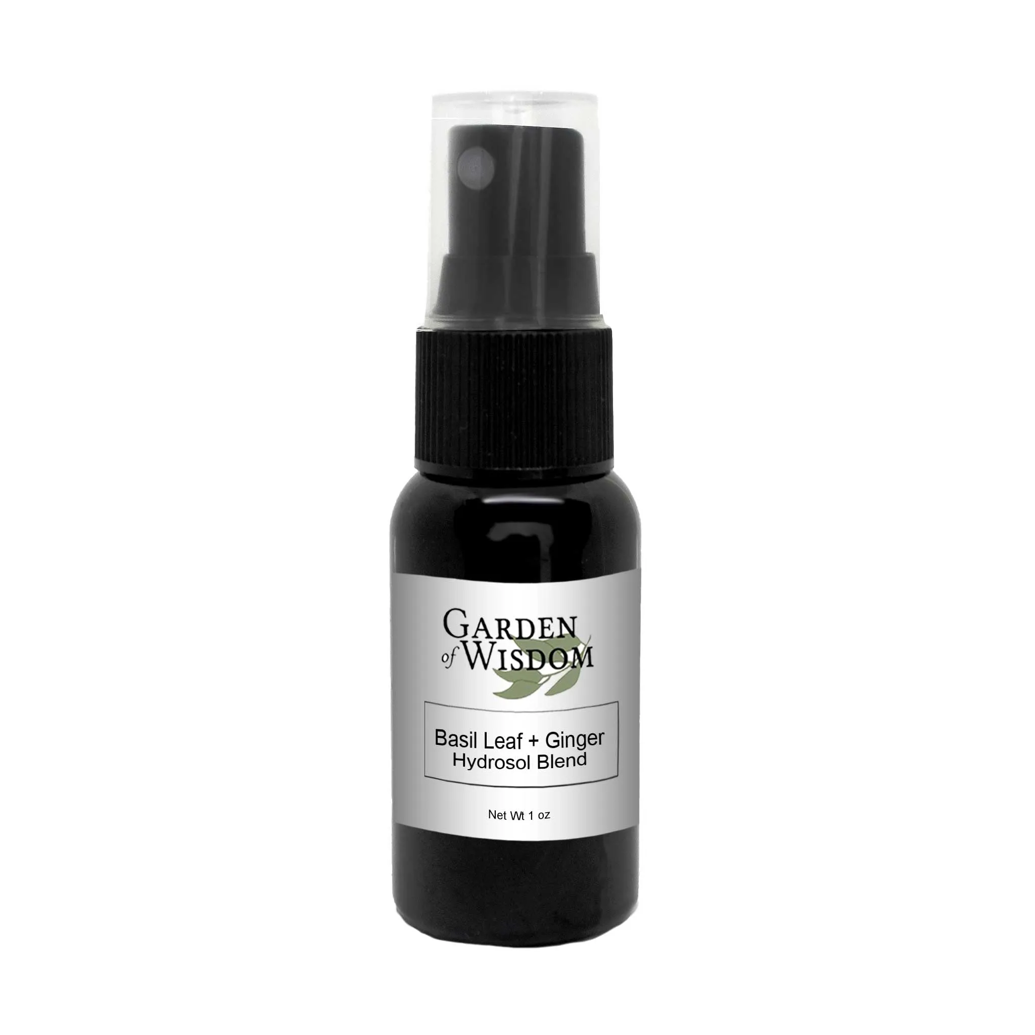 Basil Leaf   Ginger Hydrosol Blend