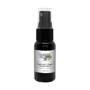 Basil Leaf   Ginger Hydrosol Blend