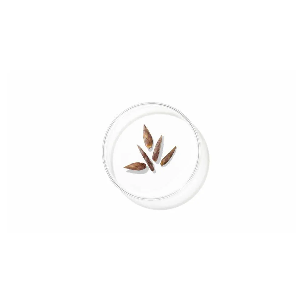 Clarifique Dual Essence 90ml/150ml/250ml