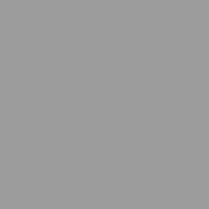 DELETER Neopiko-2 Dual-tipped Alcohol-based Marker - Cool Grey 5 (575)