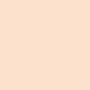 DELETER Neopiko-2 Dual-tipped Alcohol-based Marker - Ocher Beige (552)
