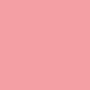 DELETER Neopiko-2 Dual-tipped Alcohol-based Marker - Rose Pink (510)