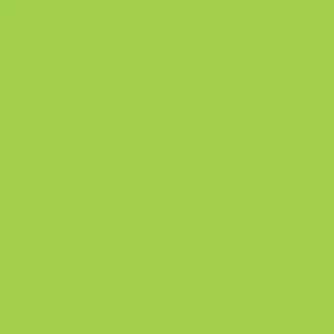 DELETER Neopiko-2 Dual-tipped Alcohol-based Marker - Spring Green (418)