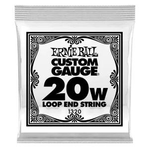 Ernie Ball 1320EB 6-Pack Loop End Stainless Steel Plain Banjo or Mandolin Guitar Strings - 0.020