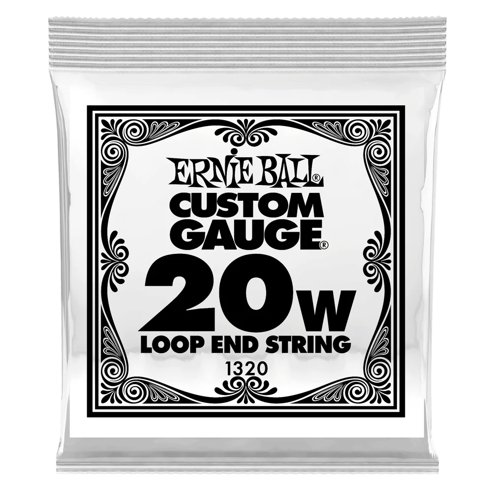 Ernie Ball 1320EB 6-Pack Loop End Stainless Steel Plain Banjo or Mandolin Guitar Strings - 0.020