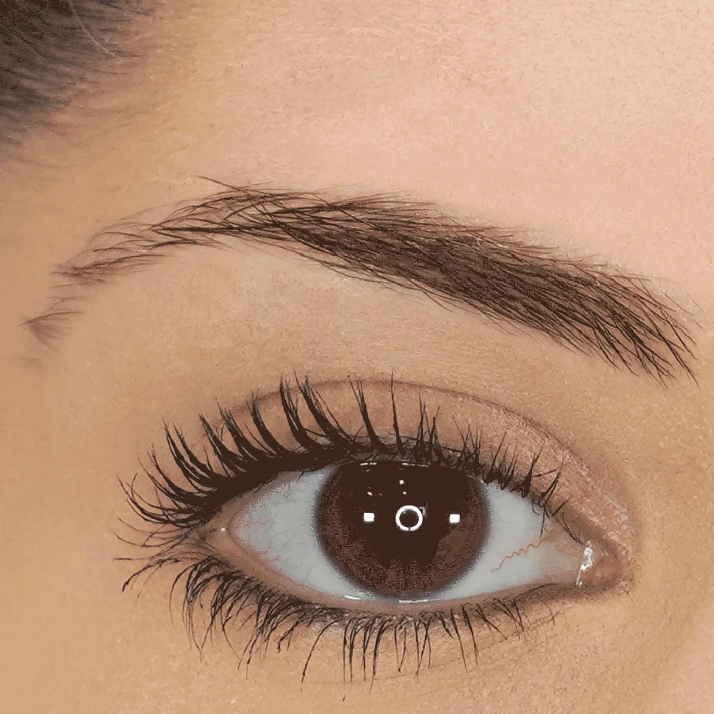 Eyebrow Pencil