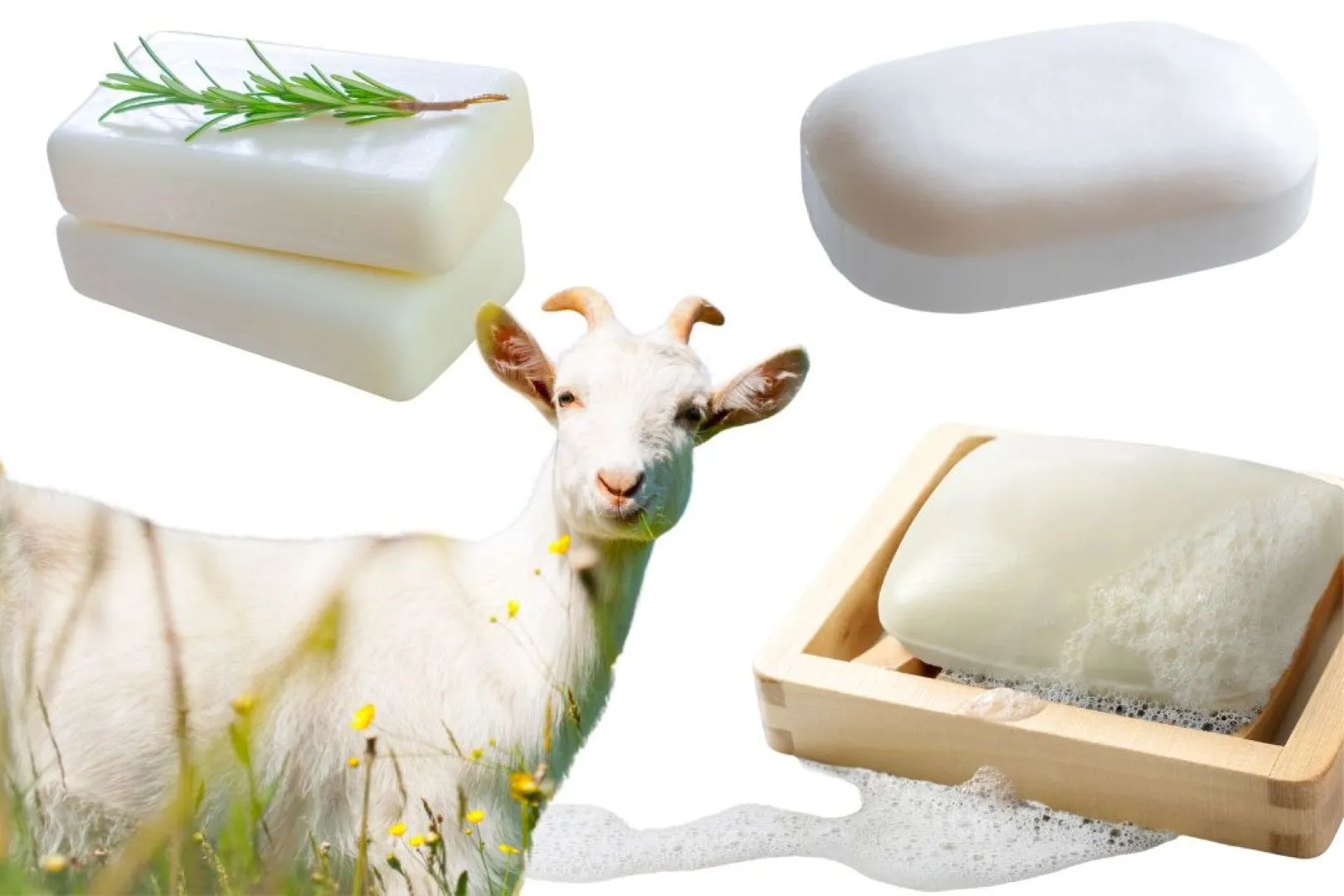 Goats Milk Sweet Lime Soap Cleansing Bar