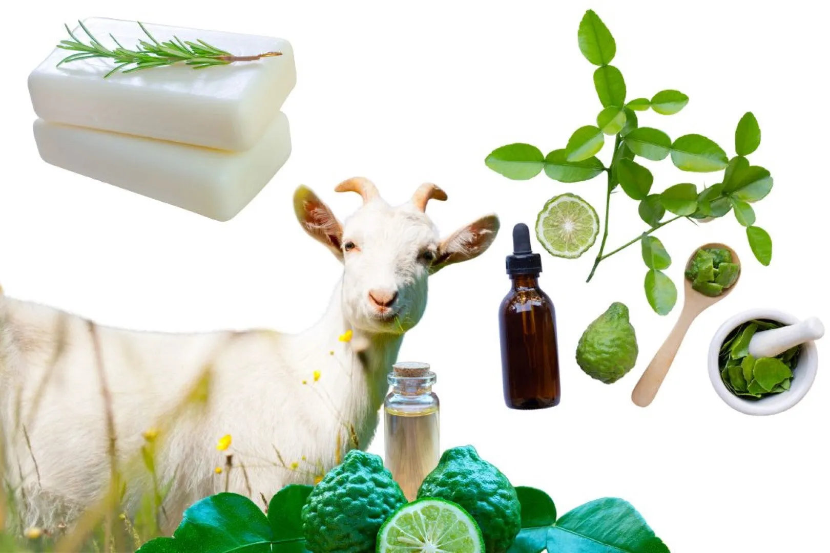 Goats Milk Sweet Lime Soap Cleansing Bar