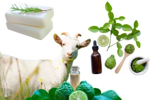 Goats Milk Sweet Lime Soap Cleansing Bar