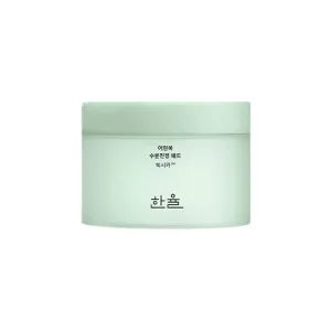 [HANYUL] Pure Artemisia Calming Pad 170ml 60EA