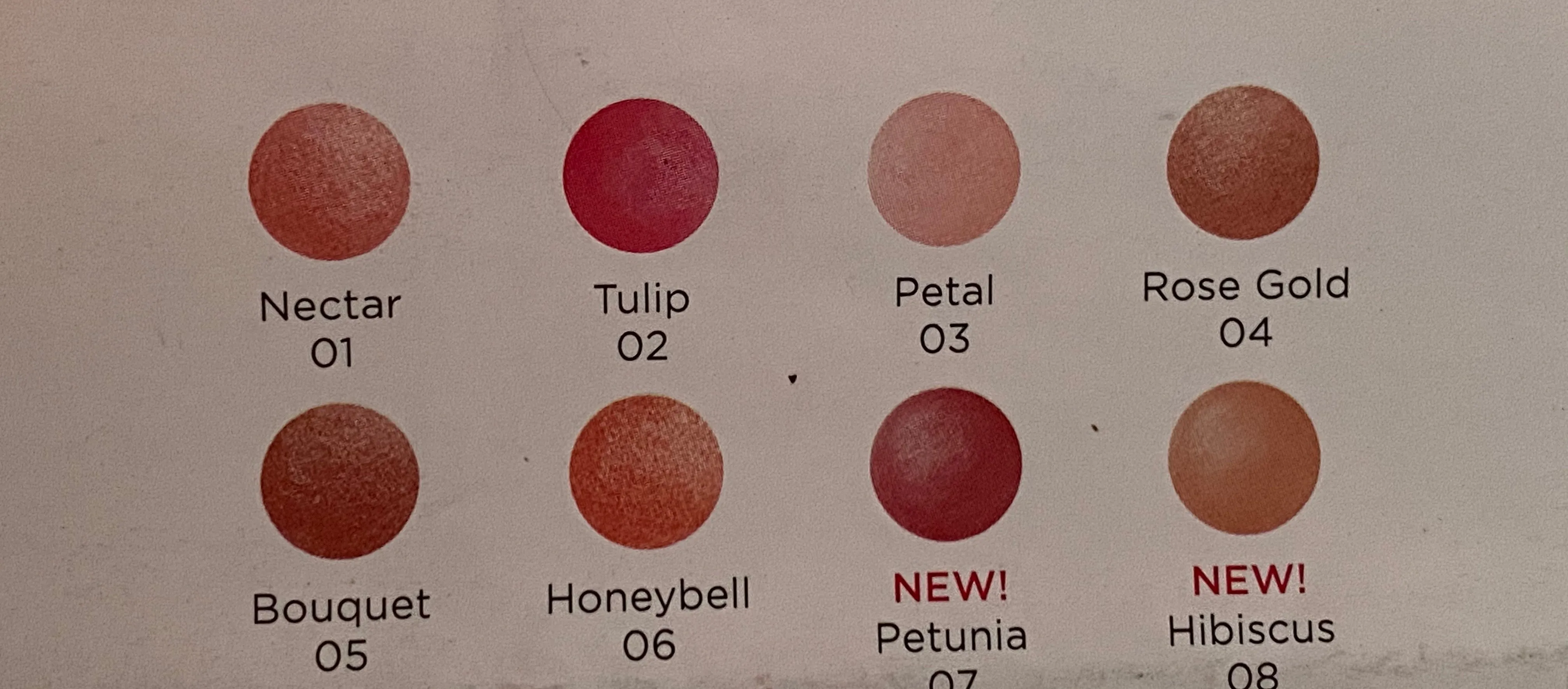 Hibiscus Baked Matte Blush