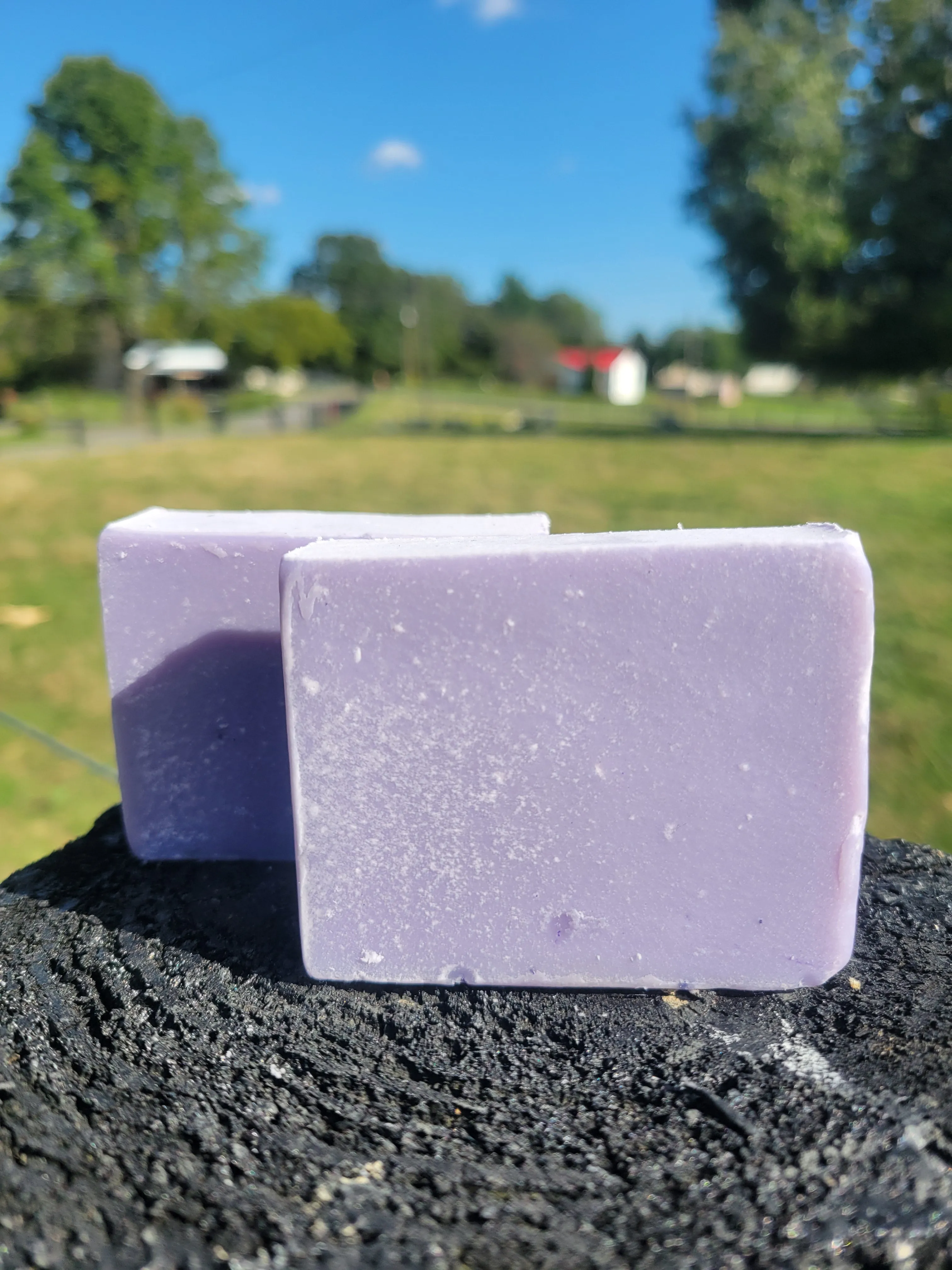 Lavender Goat Milk Soap for Sensitive Skin | Handmade, Paraben-Free, Natural Moisturizing Soap with Raw Goat Milk
