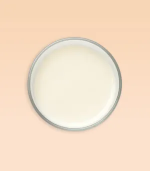 Lip Gloss Base RFND