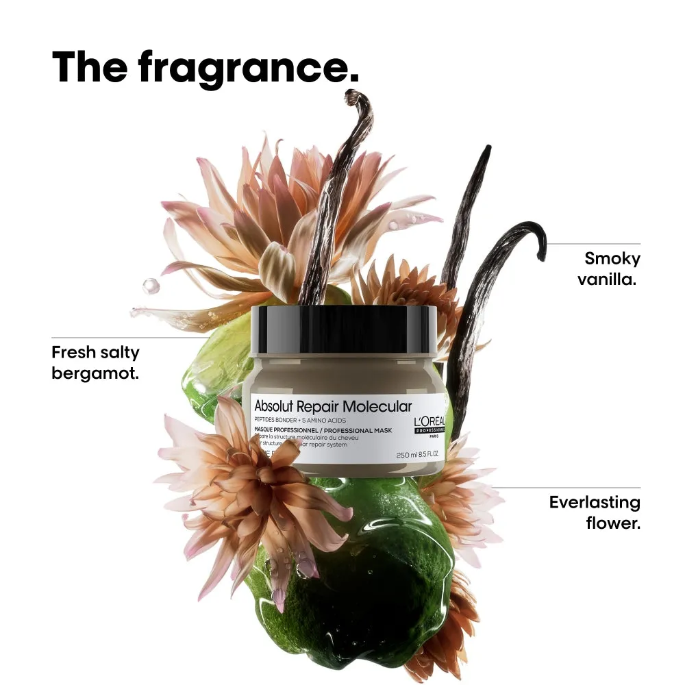 L'Oreal Professionnel Serie Expert Absolut Repair Molecular Rinse-Off Treatment Mask 250ml