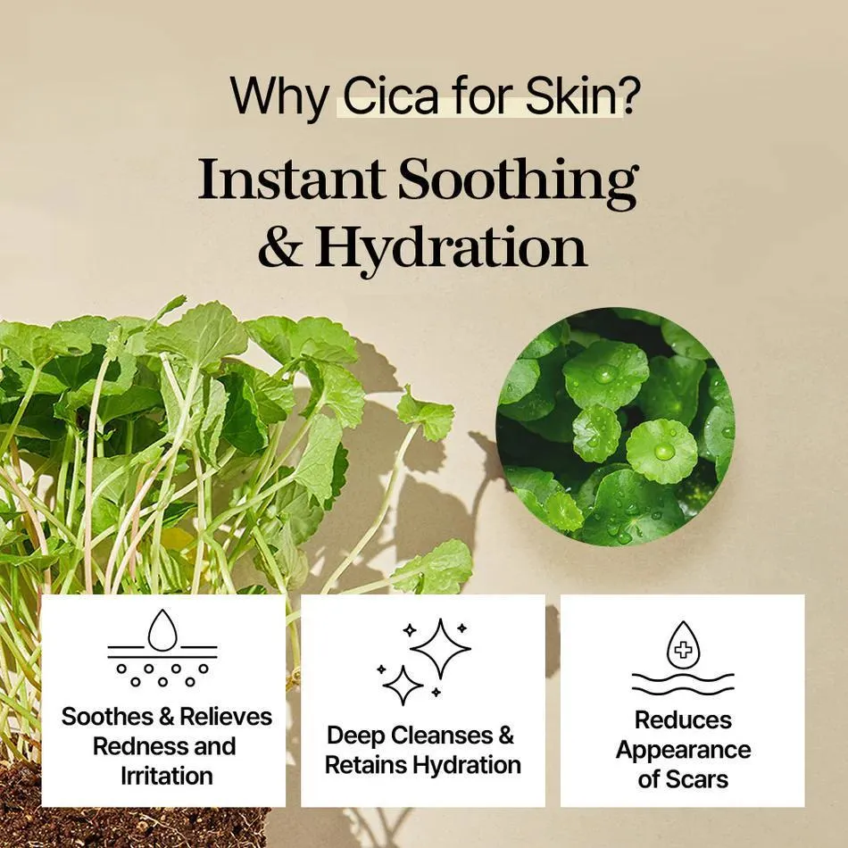 Mixsoon Centella Asiatica Toner Pad 韩国大豆积雪草爽肤水棉片 120 Sheets 230mL