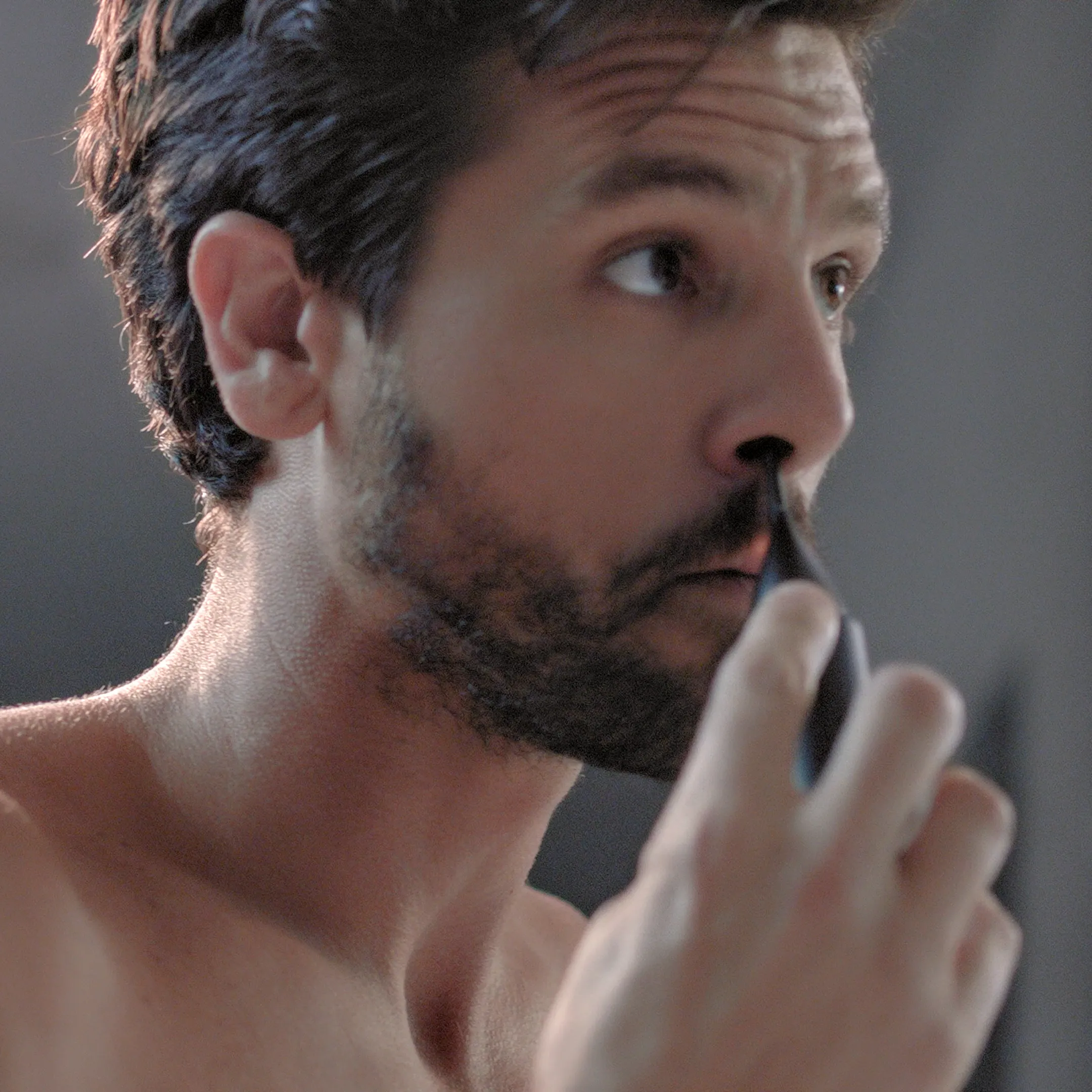 PROFESSIONAL PLUS  Nose, Ear and Eyebrow Trimmer
