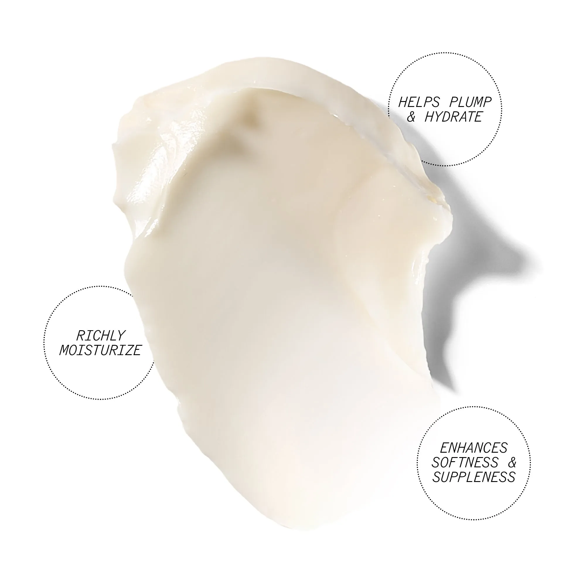 Stem Cellular Anti-Wrinkle Ceramide Overnight Cream