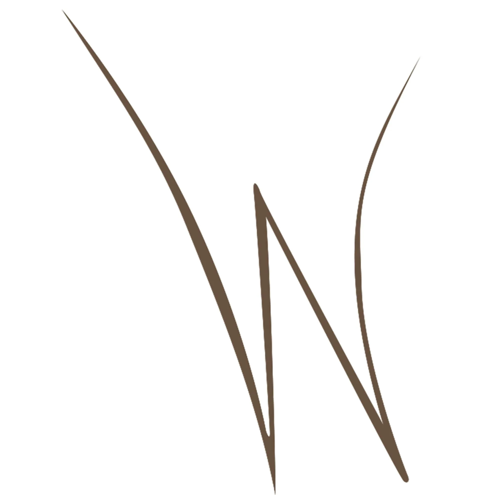 Stroke of Wow™ Roll On Eyeliner Morning Espresso
