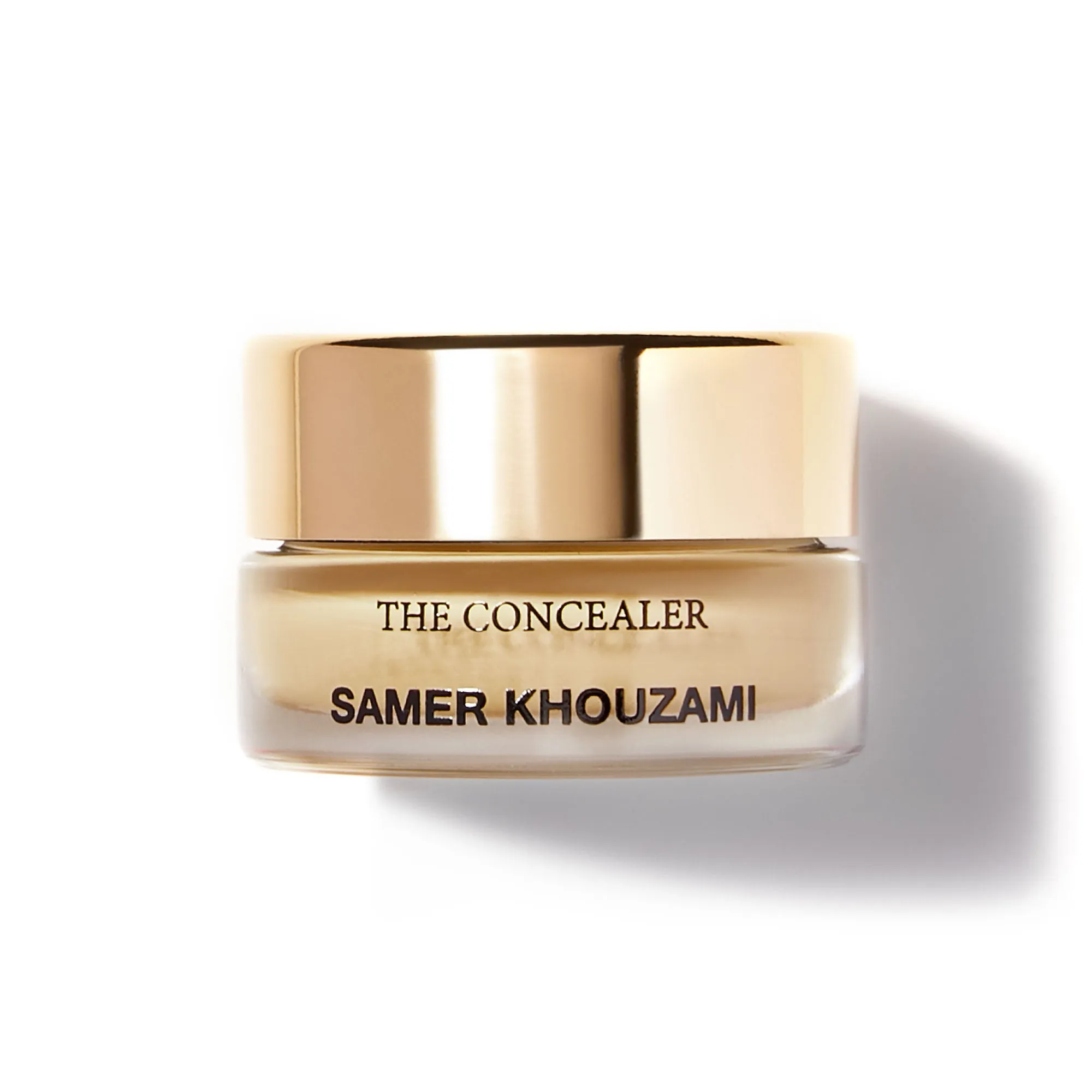 THE CONCEALER