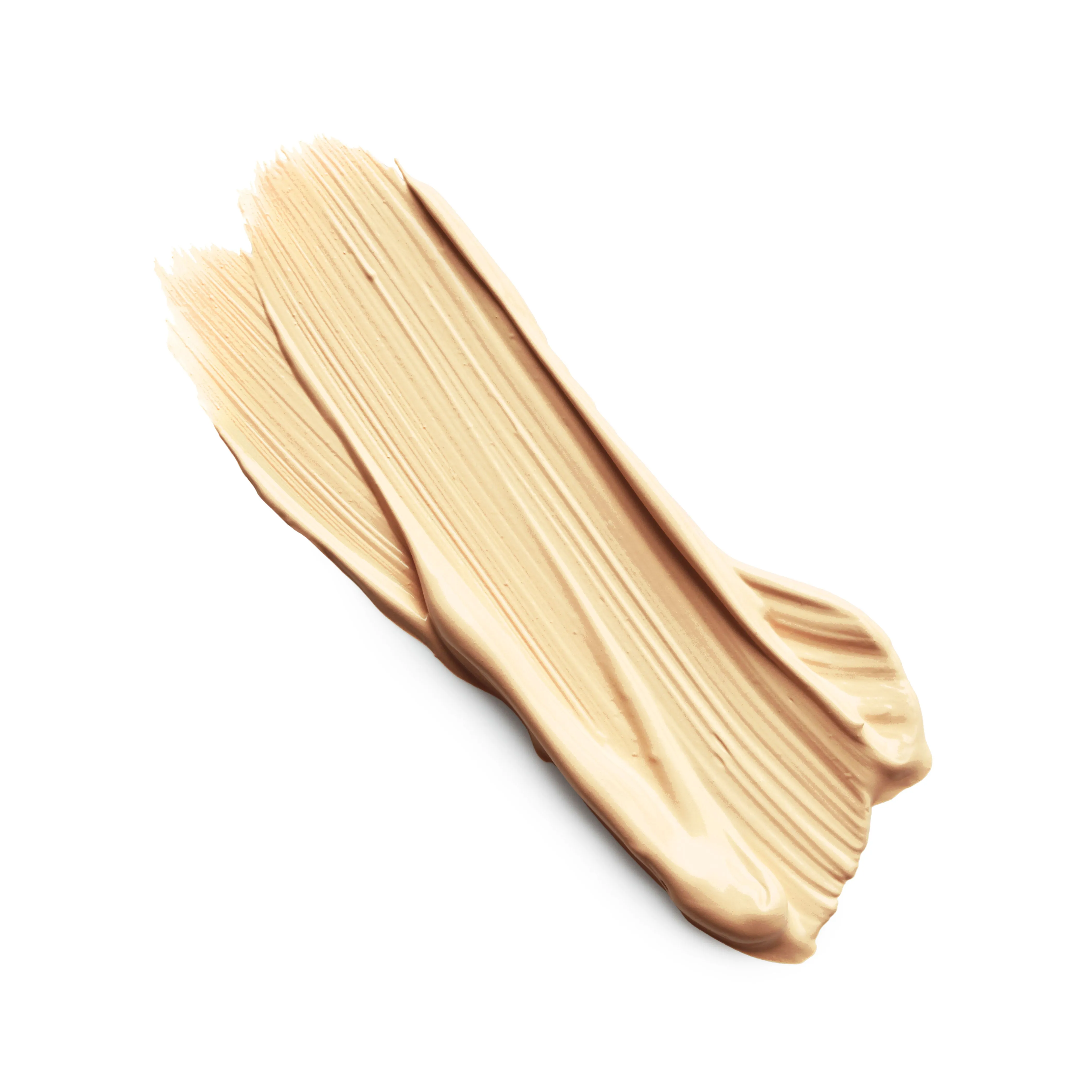 THE CONCEALER