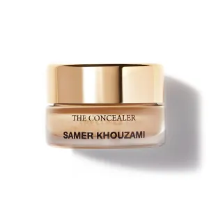 THE CONCEALER