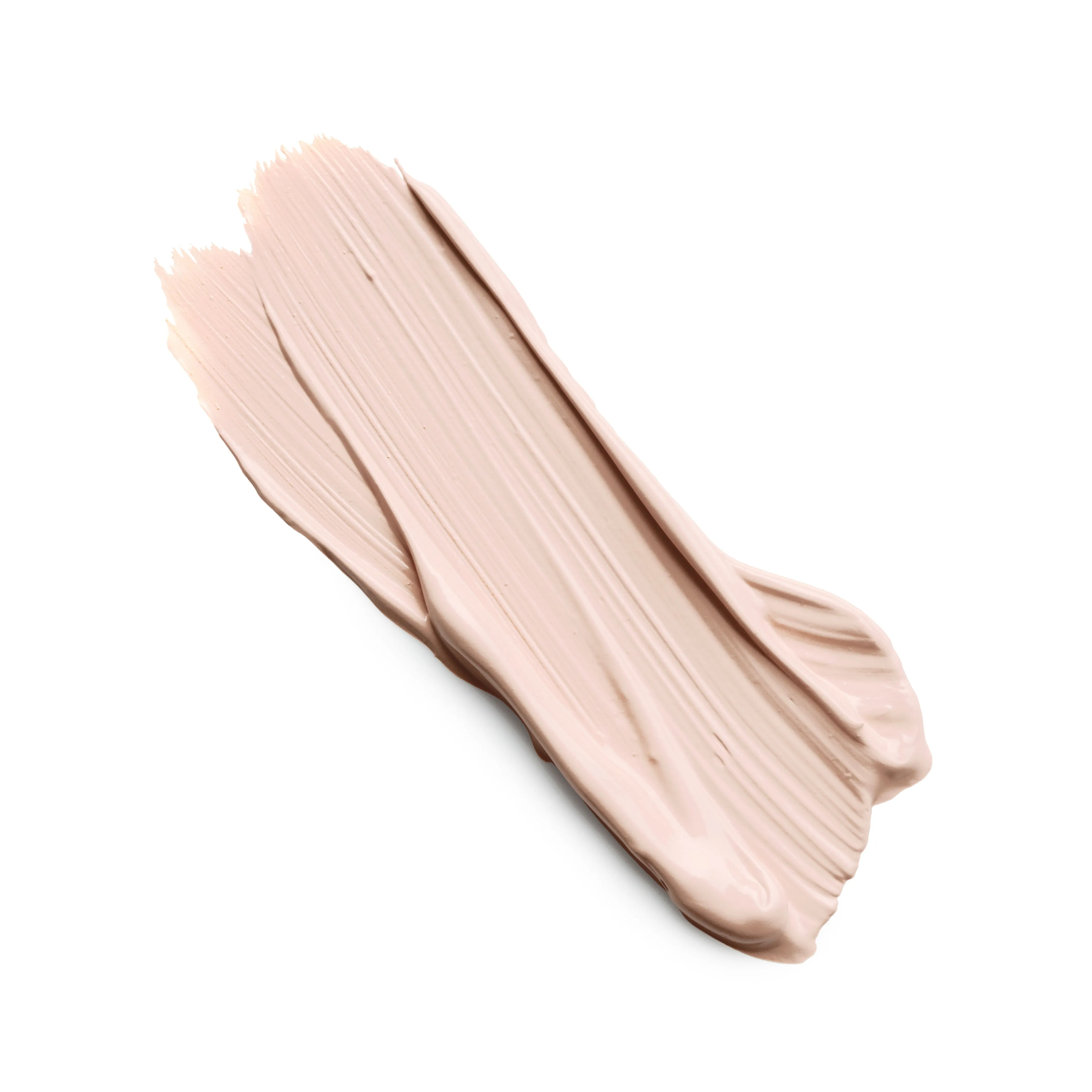 THE CONCEALER