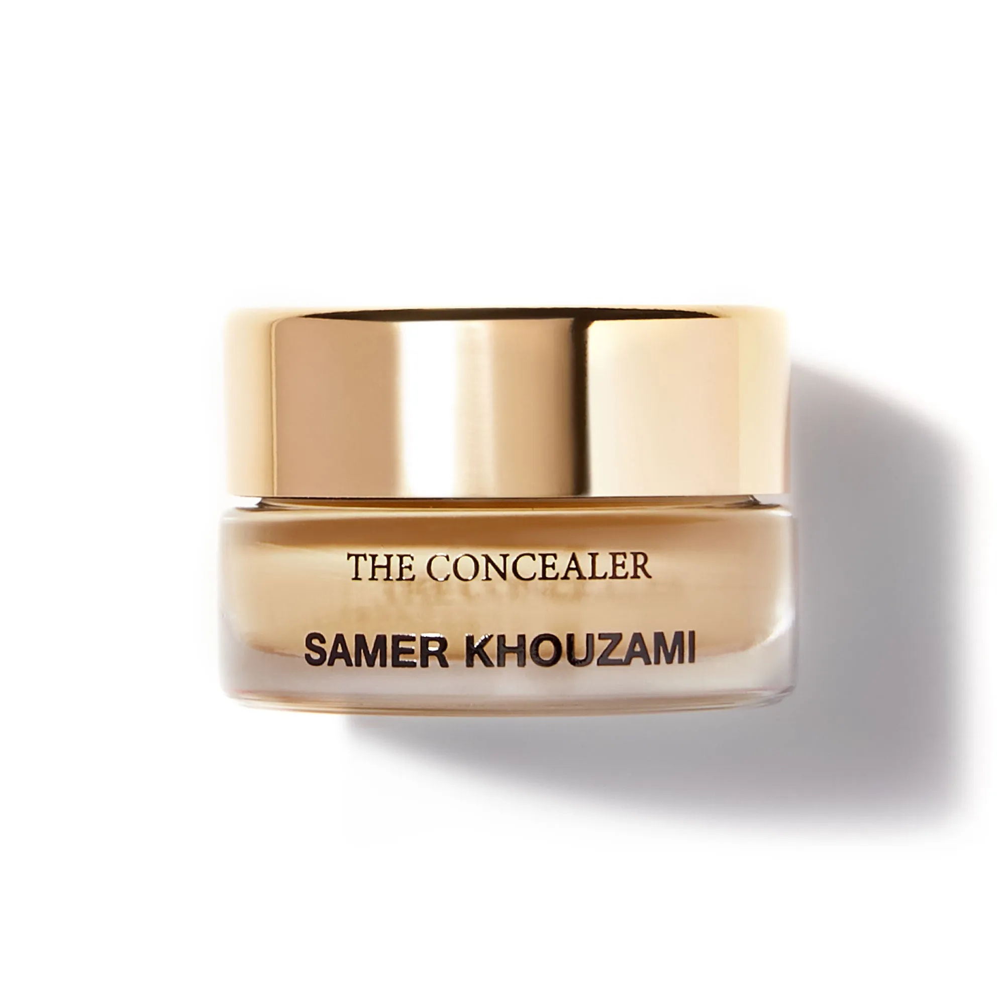 THE CONCEALER