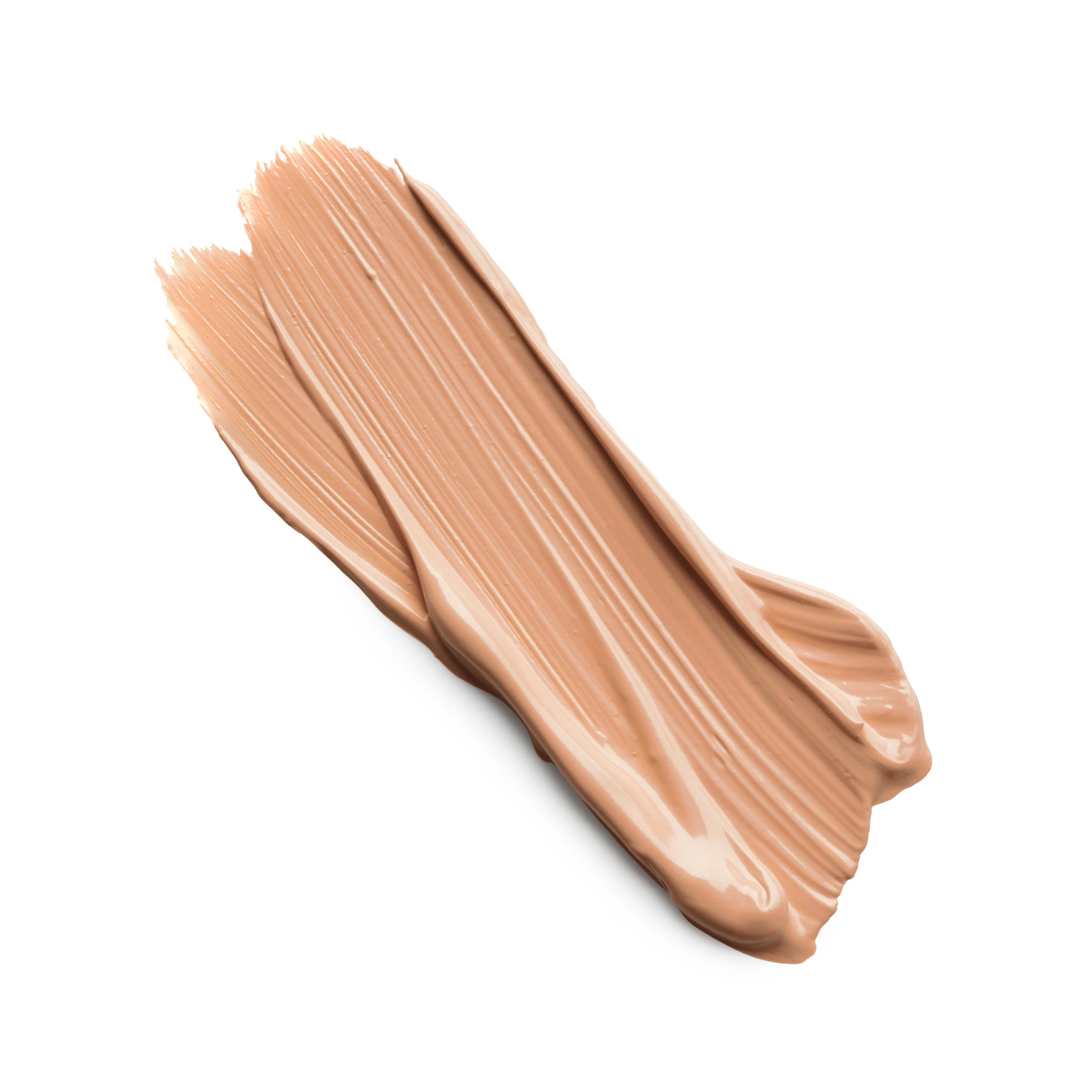 THE CONCEALER