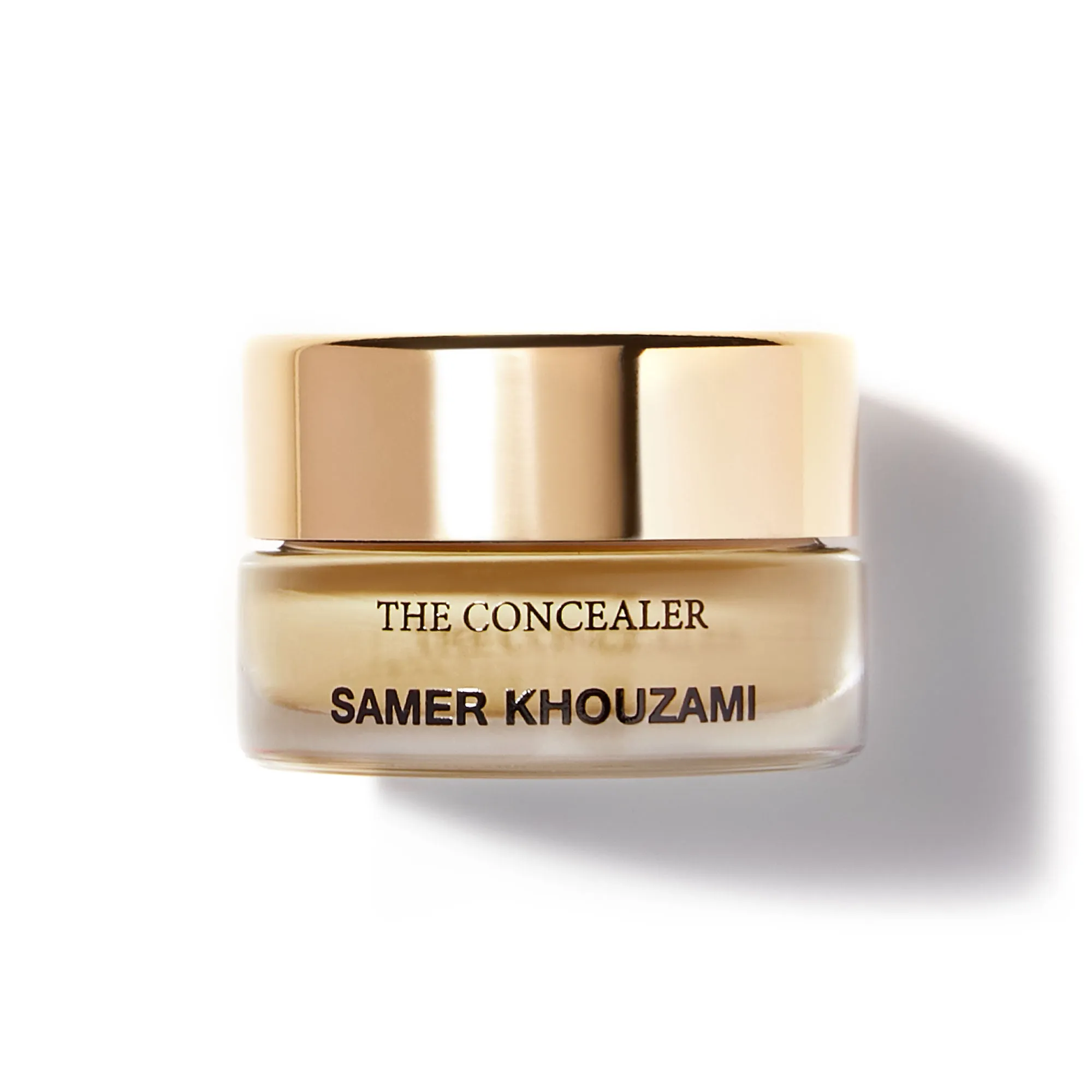 THE CONCEALER