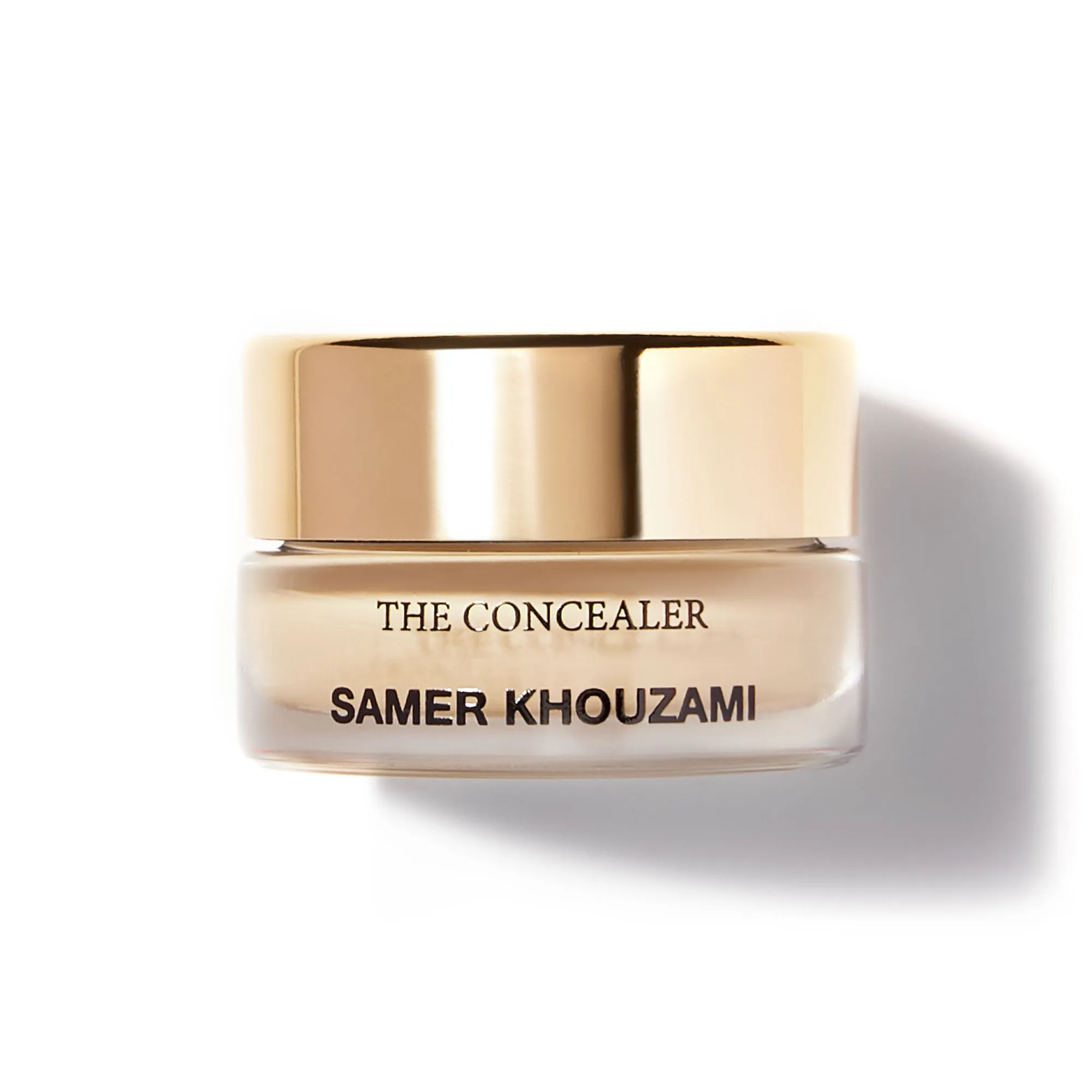 THE CONCEALER