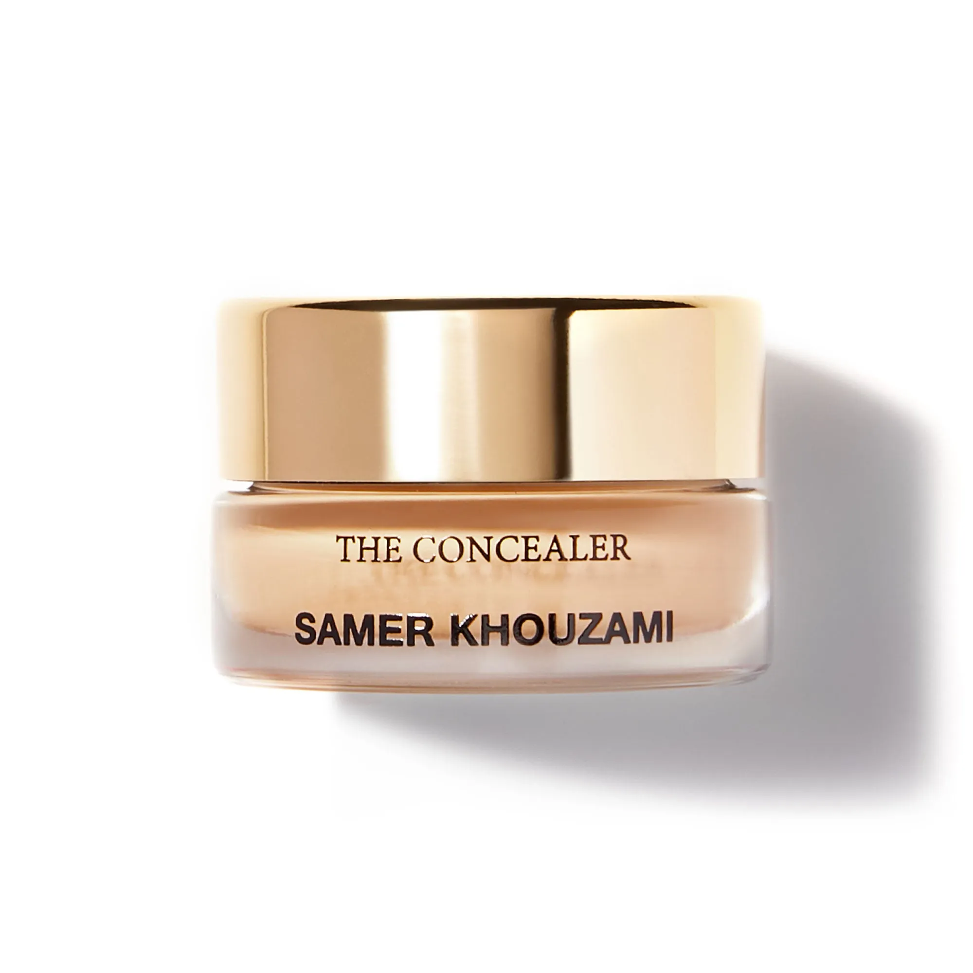 THE CONCEALER