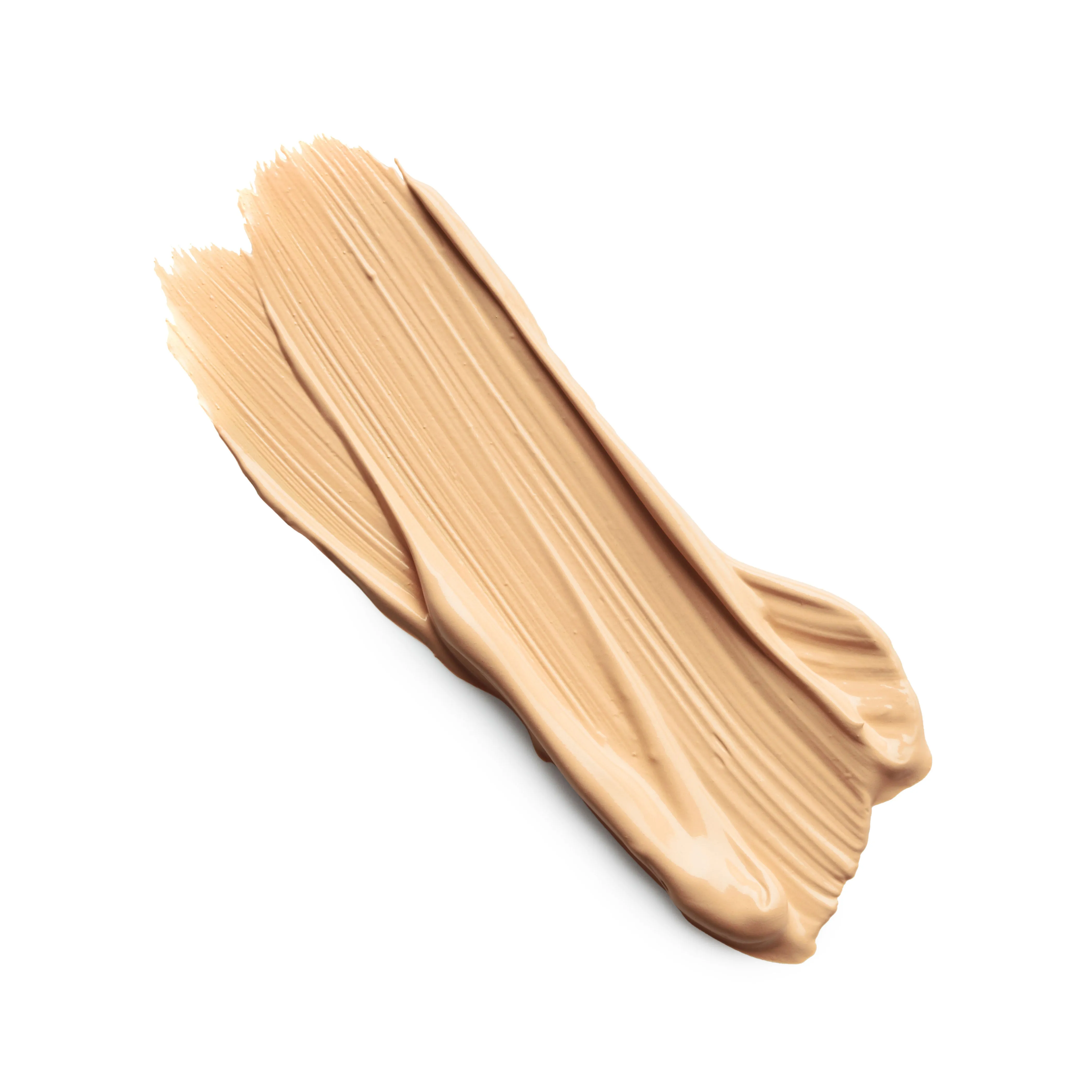 THE CONCEALER